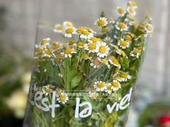 -雪蔓之鲜花气球派对(家佳源时代中心店)