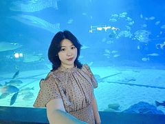 -烟台海昌鲸鲨海洋公园
