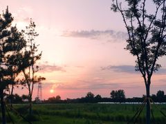 -汉长安城未央宫国家考古遗址公园