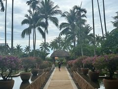 -亚龙湾希尔顿自助餐厅·海鲜·烧烤·沙滩BBQ·现场乐队