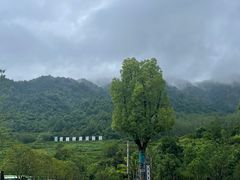 -虎啸峡漂流