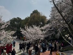 -杭州少年儿童公园