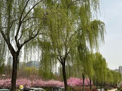 -洨河生态公园
