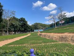 -龙凤山庄影视度假村