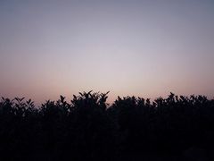 -帐篷客·溪龙茶谷度假酒店