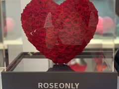 -ROSEONLY诺誓(广州K11店)