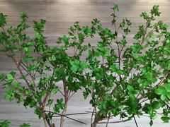 -唐宫足道·SPA·影院会馆(木渎店)