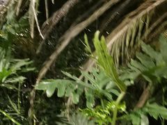 -金稼园·金平湖农家菜