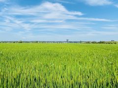 -稻梦空间冰雪小镇