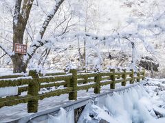 -少华山国家森林公园