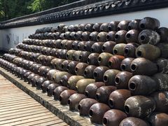 -绮园景区