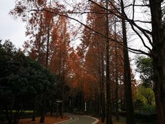 -苏州河梦清园环保主题公园