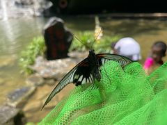-桂林古东瀑布景区