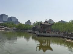 -莲花池公园
