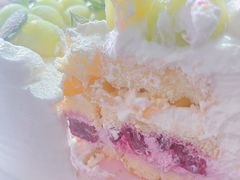 -今日·TODAY手作低脂动物奶油蛋糕定制(高新万达店)