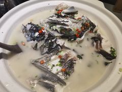 -老傅家湘潭水煮活鱼店(众一国际店)