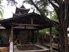 -广东省拱北口岸中国旅行社(华宾营业部)