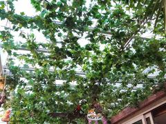 -飞虎过桥米线(翠湖店)