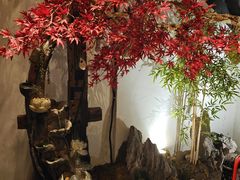 餐厅里的春天-湘厨壹品(芙蓉广场店)