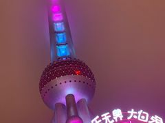 -东方明珠广播电视塔