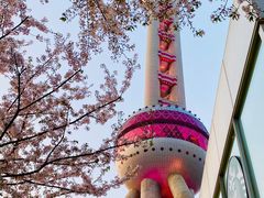 -东方明珠广播电视塔