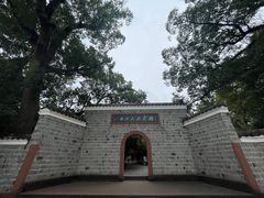 -八大山人梅湖景区