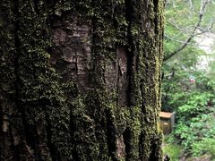 -秦岭终南山世界地质公园翠华山景区