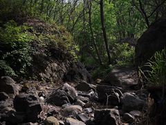 -云岫谷游猎自然风景区