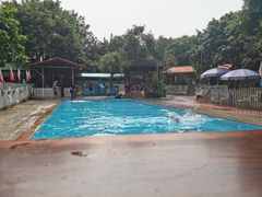 -良成狗狗乐园