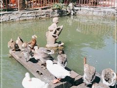 -香山小厨(南联路店)