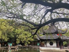 -西园戒幢律寺