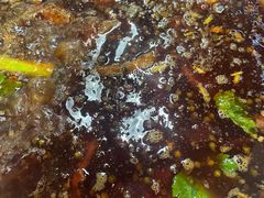 -肖肖酸萝卜鱼火锅(总店)