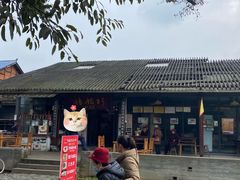 -巧姑传