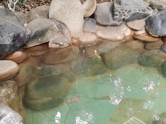 -张家港金凤凰度假村温泉