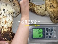 -三锅莊·牦牛肉火锅·香格里拉特色藏餐宴请餐厅(昆明创始店)