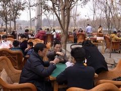 -三圣花乡旅游区