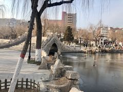 -文瀛公园