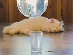 -店溡三(御华名苑愚园路1221弄店)