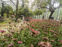 -南通洲际绿博园