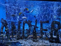 -太平洋海底世界