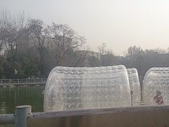 -莲湖公园