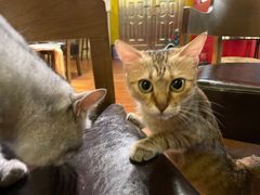 -H立方实景剧情密室(天河旗舰店)