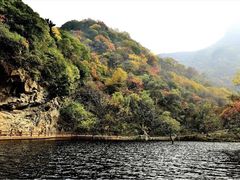 -少华山国家森林公园