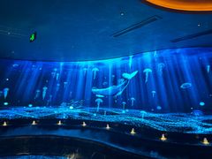 -唐宫足道·SPA·影院会馆(木渎店)