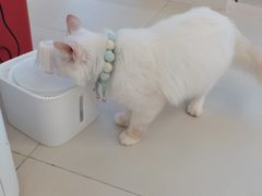 -怪兽屋·羊驼·猫咖·狗咖(俊华广场店)