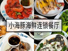 -亚龙湾热带天堂森林公园