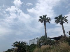 -Cafe Aewol Monsant