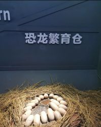 -恐龙探索乐园(磁器口店)