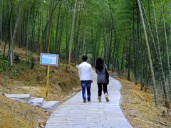 -广州市石门国家森林公园
