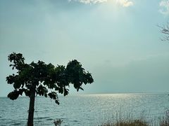 -大理洱海